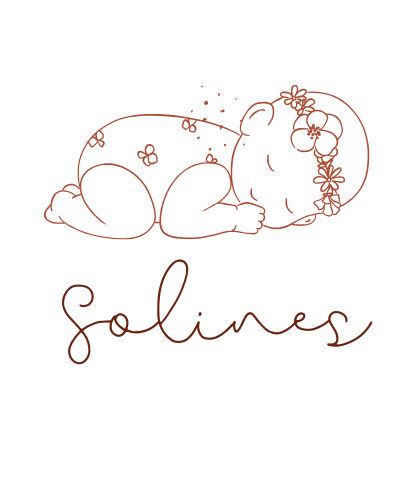 Logo de Solines Reborn