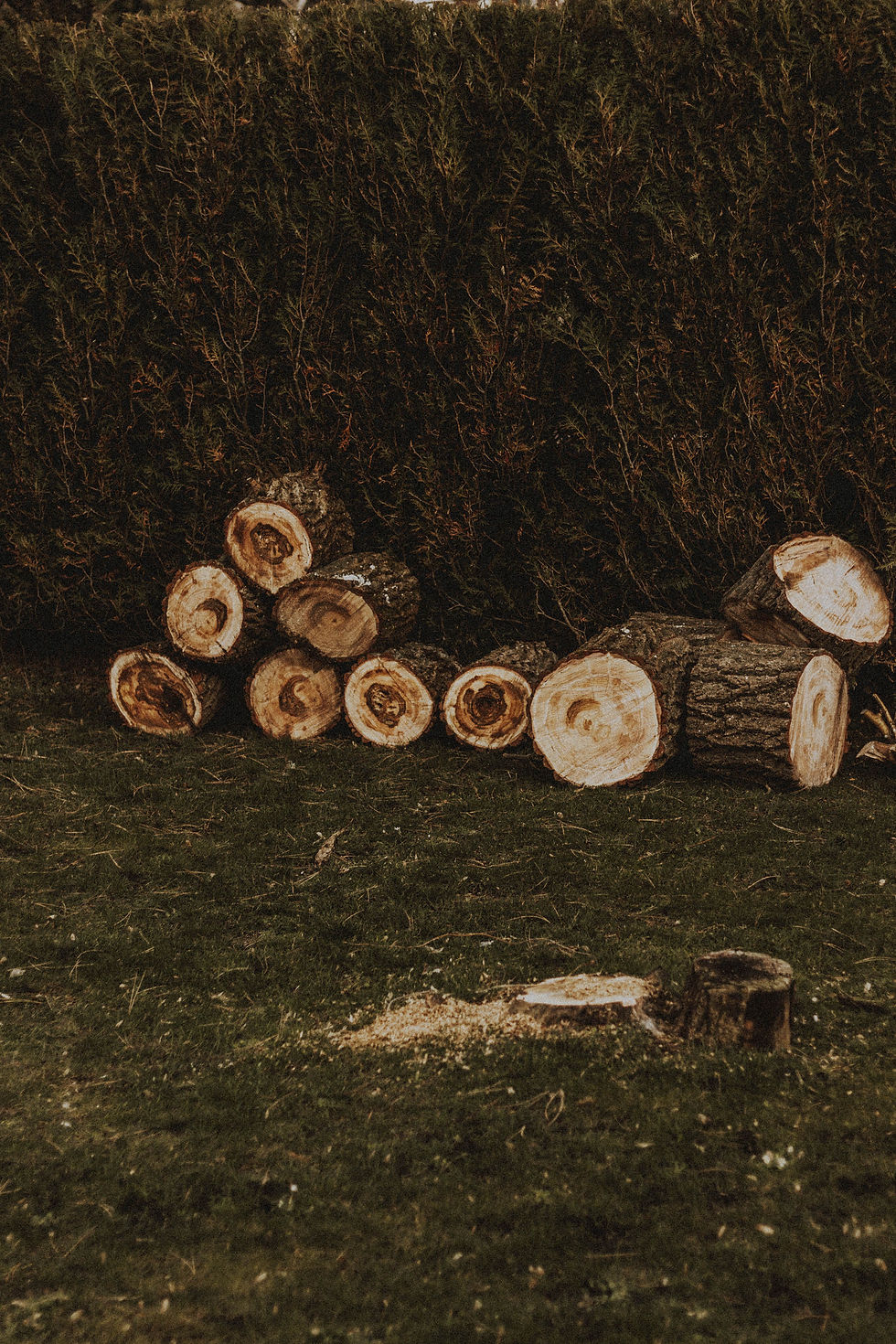 pexels-matreding-6835310.jpg