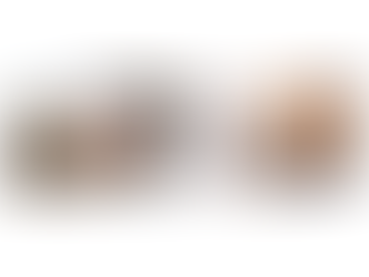 Let's talk about Pawdicures