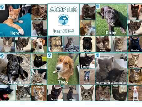 Happy Tails!