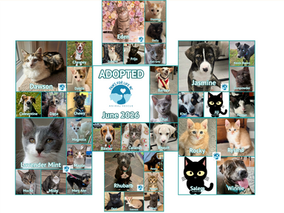Happy Tails!!