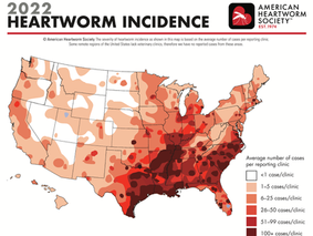 Heartworm disease is preventable