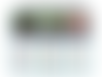 ADOPTING A DOG?  Know the 3-3-3 rule