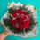 Miniatura: Buquê Radiante - 30 Rosas