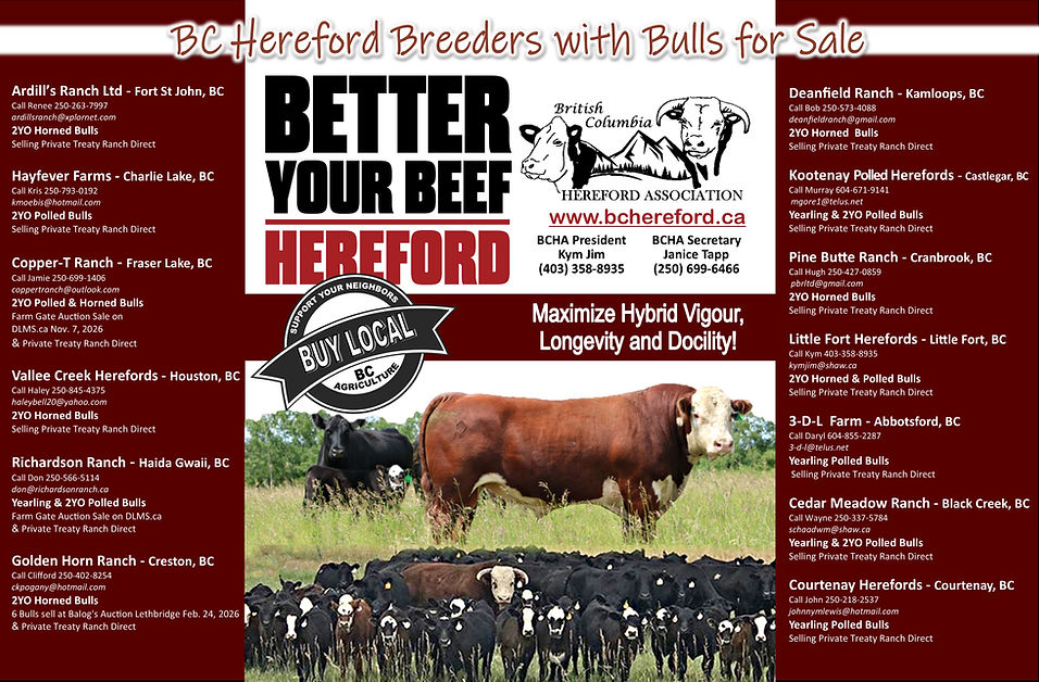 Two Page Spring Bull Ad BCHA .jpg