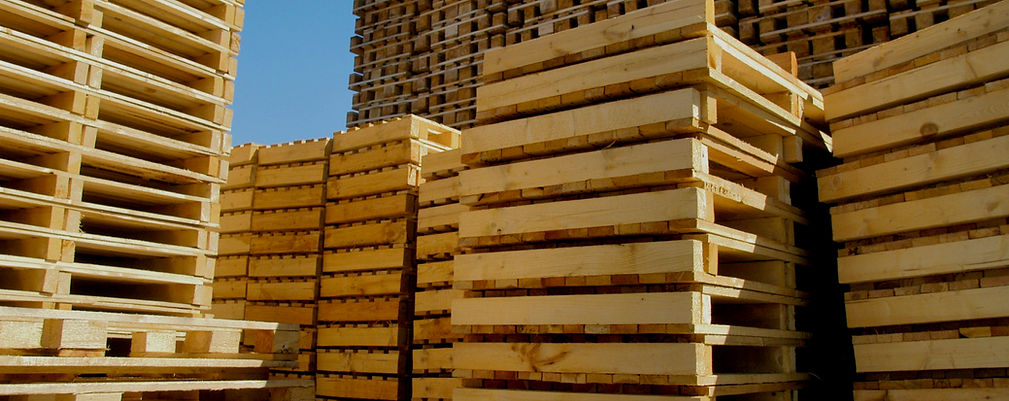 heavy duty plastic pallets for sale, plastic pallets for sale near me, wooden pallets for sale Auckland, wood pallets for sale near me, wood pallet recycling near me, hygiene pallet, plastic pallets Auckland, pallets for sale NZ, plastic pallet supplier near me, treated pallets for sale, wooden pallets disposal, cheap pallets NZ, plastic pallets near me, small pallets for sale, heavy duty plastic pallets, wooden pallets suppliers, euro-pallet new, new pallets for sale, euro pallet for sale, wood pallet company, shipping pallets near me, shipping pallets for sale, wooden pallet supplier, timber pallets for sale, new pallets, pallet sale near me, plywood pallets for sale, wooden pallets for sale near me, new pallets for sale near me, banana pallets, EPAL pallet, square pallets, wooden pallets suppliers near Auckland, large plastic pallets Auckland, wooden pallet supplies Auckland, wooden pallets for sale near Auckland, wooden pallets suppliers Auckland, wooden pallets Auckland for sale