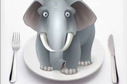 Elephant.jpeg