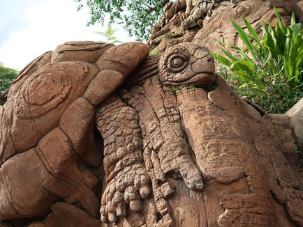 Animal Kingdom: Top 10 things to do