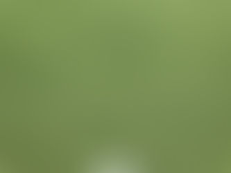 パッティング 目の錯覚