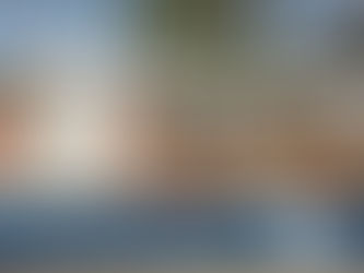 Neighborhood Outlier Sale at 8129 Craft Court