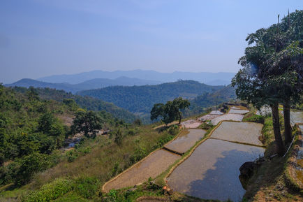  Paddy field on the hills