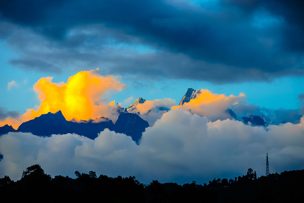 Capturing Nature's Beauty: Landscape Photography Tips