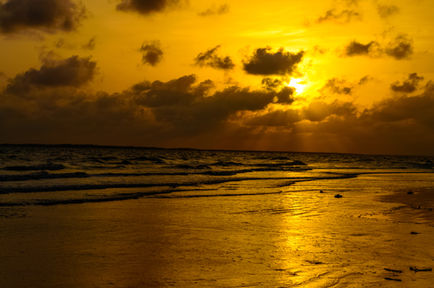Golden sunset over a calm ocean beach.
