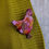 Thumbnail: Chicken Brooch
