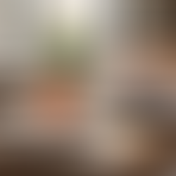 Reserva tus clases de conversación de español