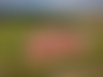 shift4Water - SAMBURU WATER PROJECT FOR AGROFORESTRY KENYA