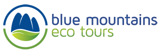 Blue Mountains Eco Tours