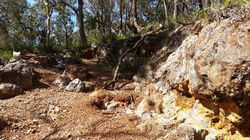 Praise Mine - Hanging Rock Nundle