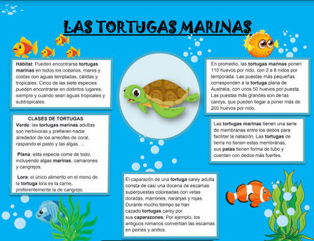 TORTUGAS.png