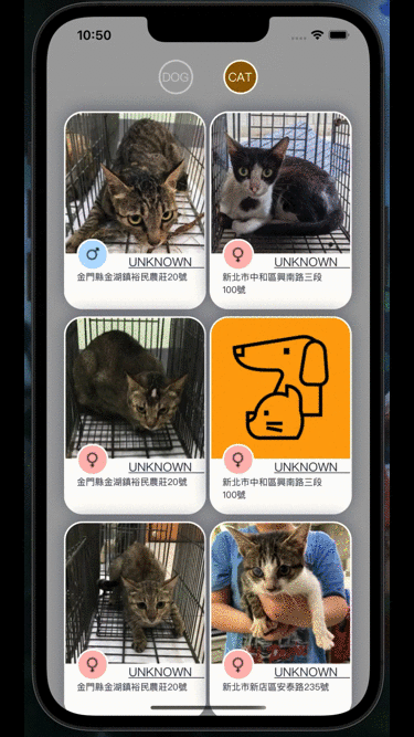 PetAdoptApp.gif