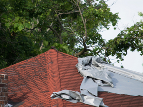 What Happens If You Ignore a Small Roof Leak?