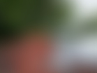 What Happens If You Ignore a Small Roof Leak?