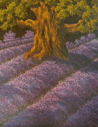 Oak among lavender   oil on board   24in x 18in   £250_edited.jpg