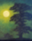 Moon on elm