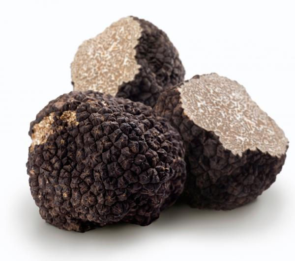 TARTUFO NERO DEL GARGANO