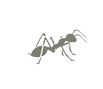 ant.gif
