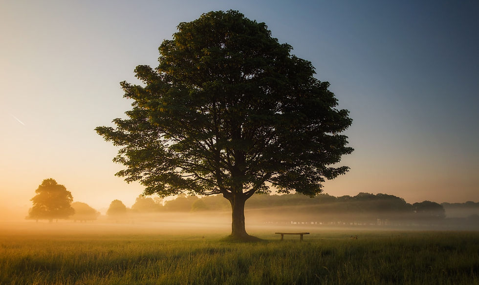 Webinar: Become A Coach and Grow As A Leader | 07 January 2025