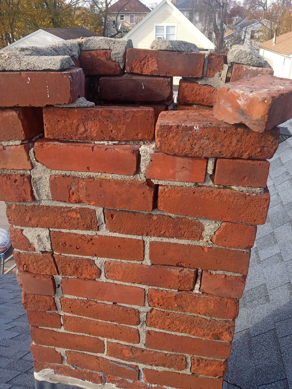 8313933906263808471 (1)