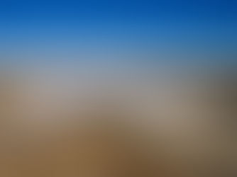 From Farmland to Fortune: Waller, TX Corporate Growth