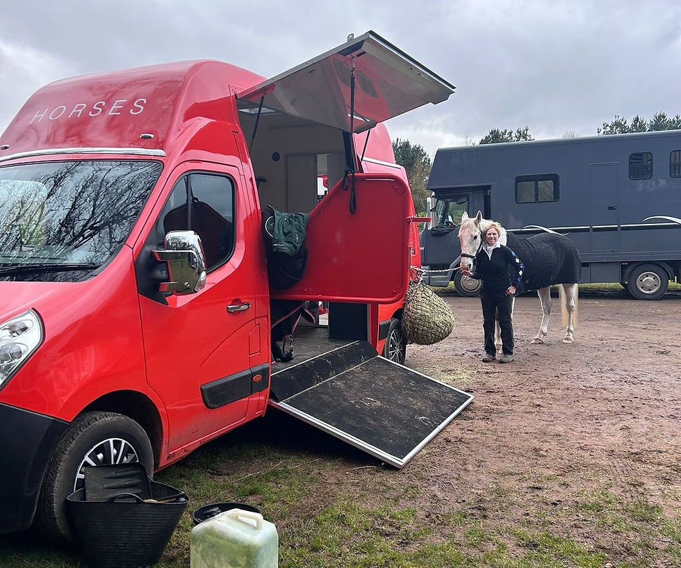 Horsebox Workshop Crossover customer review