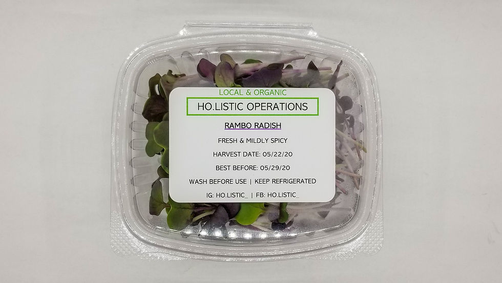 Thumbnail: Rambo Radish Microgreens