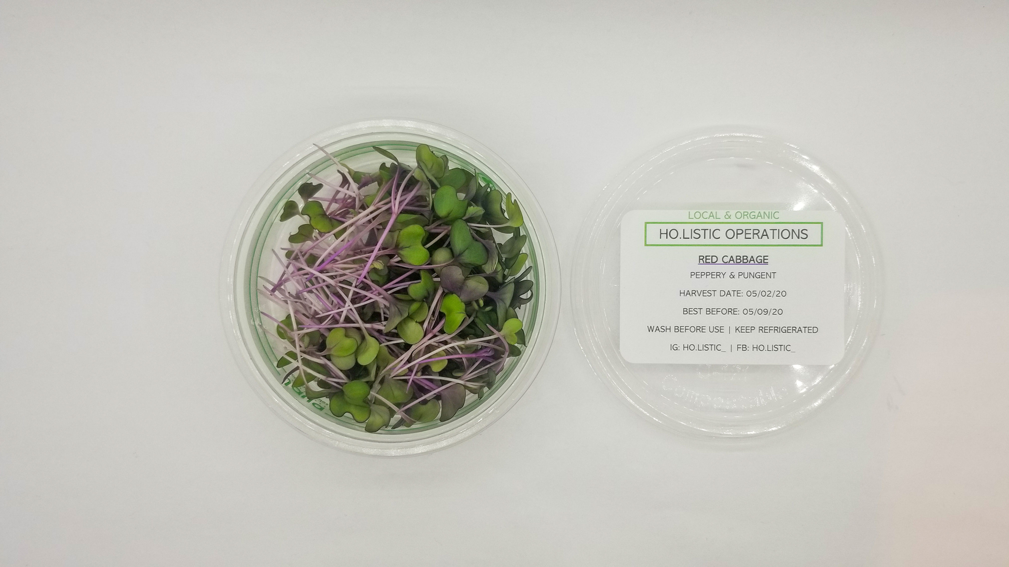 Red Cabbage Microgreens