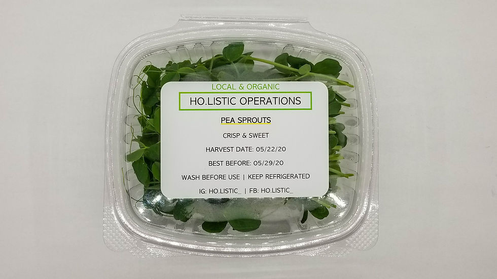 Thumbnail: Pea Sprout Microgreens