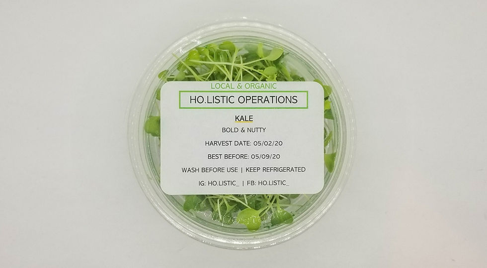 Thumbnail: Kale Microgreens