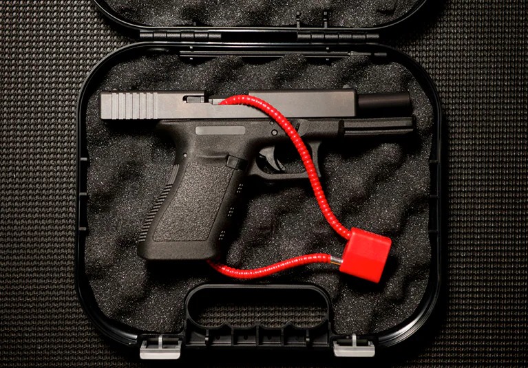 Curso de capacitación sobre seguridad con armas de fuego ordenado por la corte