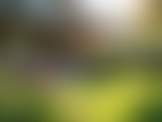 Tips Voor Zorgeloos Vastgoed In Beheer Geven