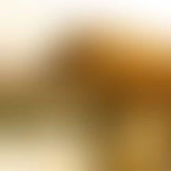 Africa: Big sightings and small details