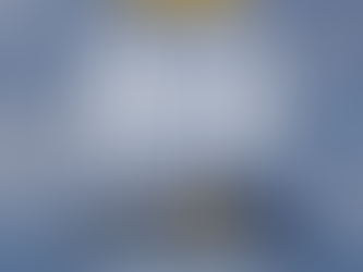 cruise ship in antartica