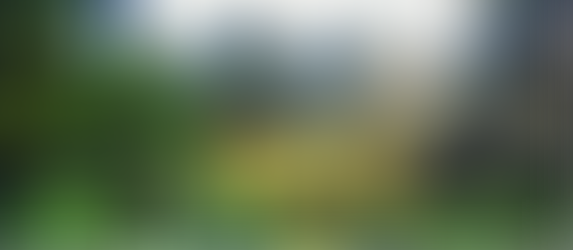 Rwanda: Wild & Wonderful- A Once-in-a-lifetime Encounter with Mountain Gorillas