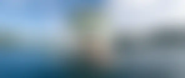 people on paddle boards off the back of a boat