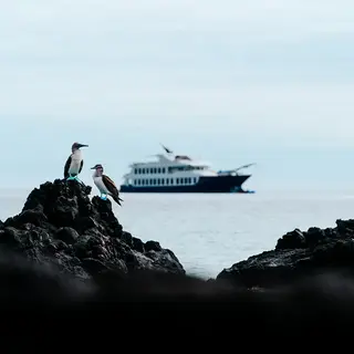 galapagos boat