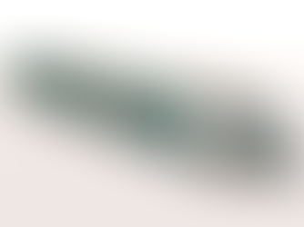 Amadeus: The new river boat - MIRA