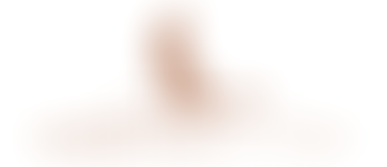 Safari Finest: Cheetah Plains