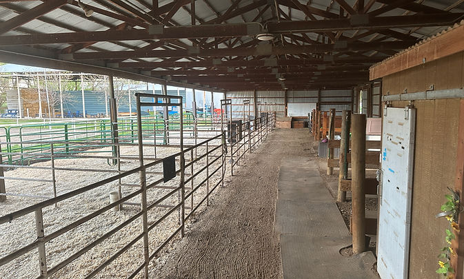 12. Program Barn (i8685).JPG