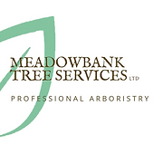 MBTREESFINAL.png