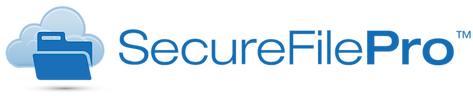 Secure File Pro